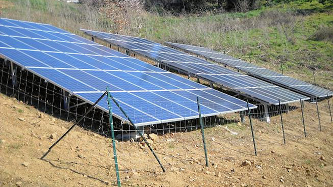 Foto impianto fotovoltaico Elettricolore